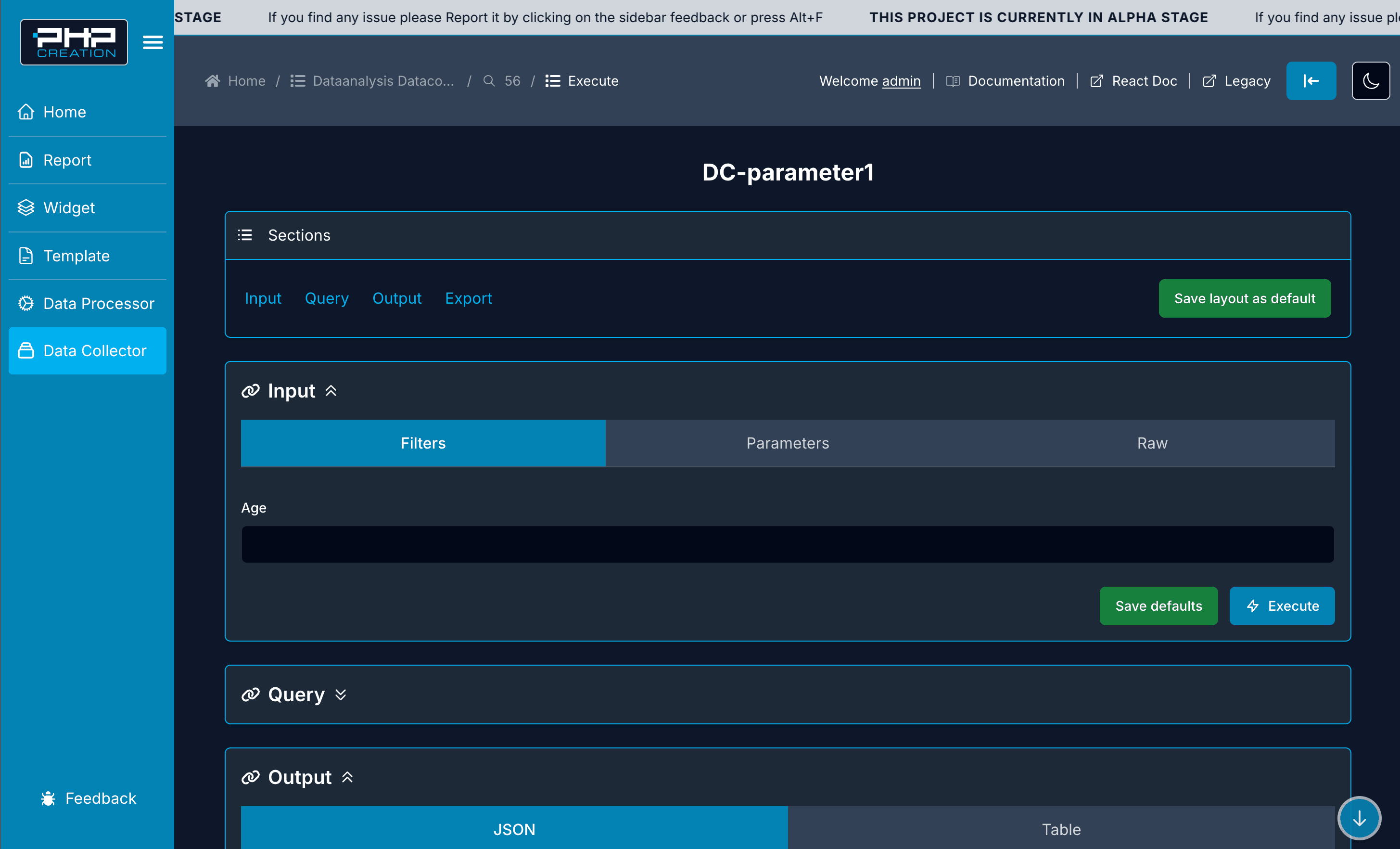 DC Execute page with the Input, Query, Output and Export sections, the Filters tab filled and the Execute button